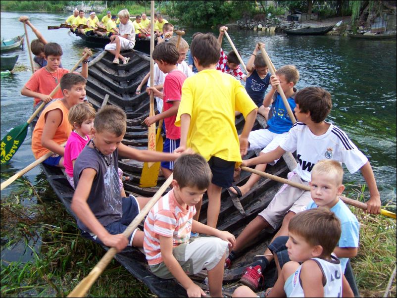 (20)